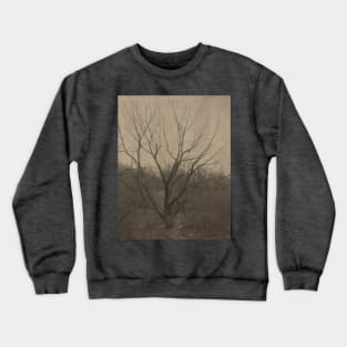 Bare branches of an old tree Crewneck Sweatshirt